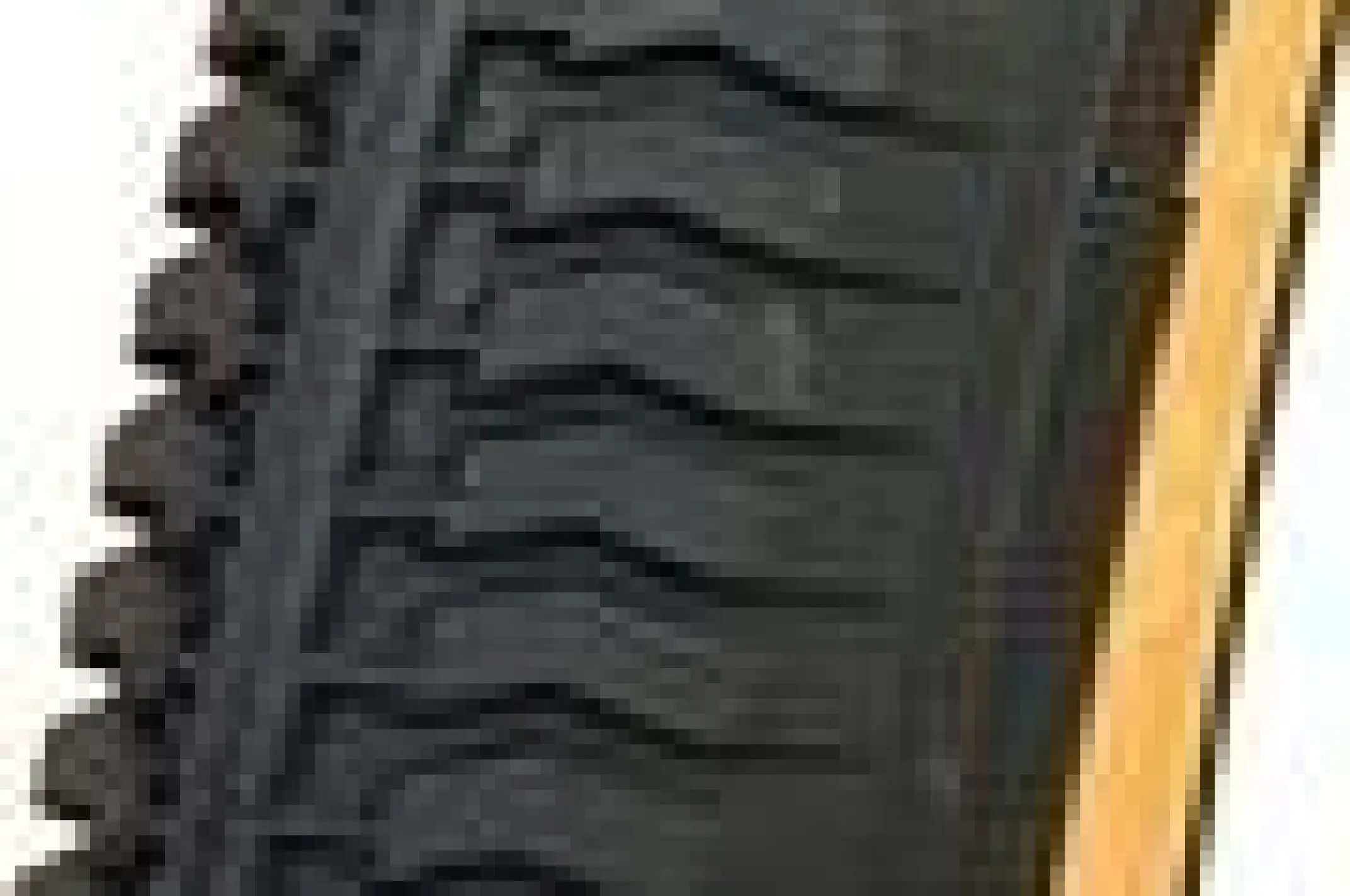 Велосипедная шина 20 * 2,125 (H-518 Косичка) Chao Yang-Top Brand LTK-8