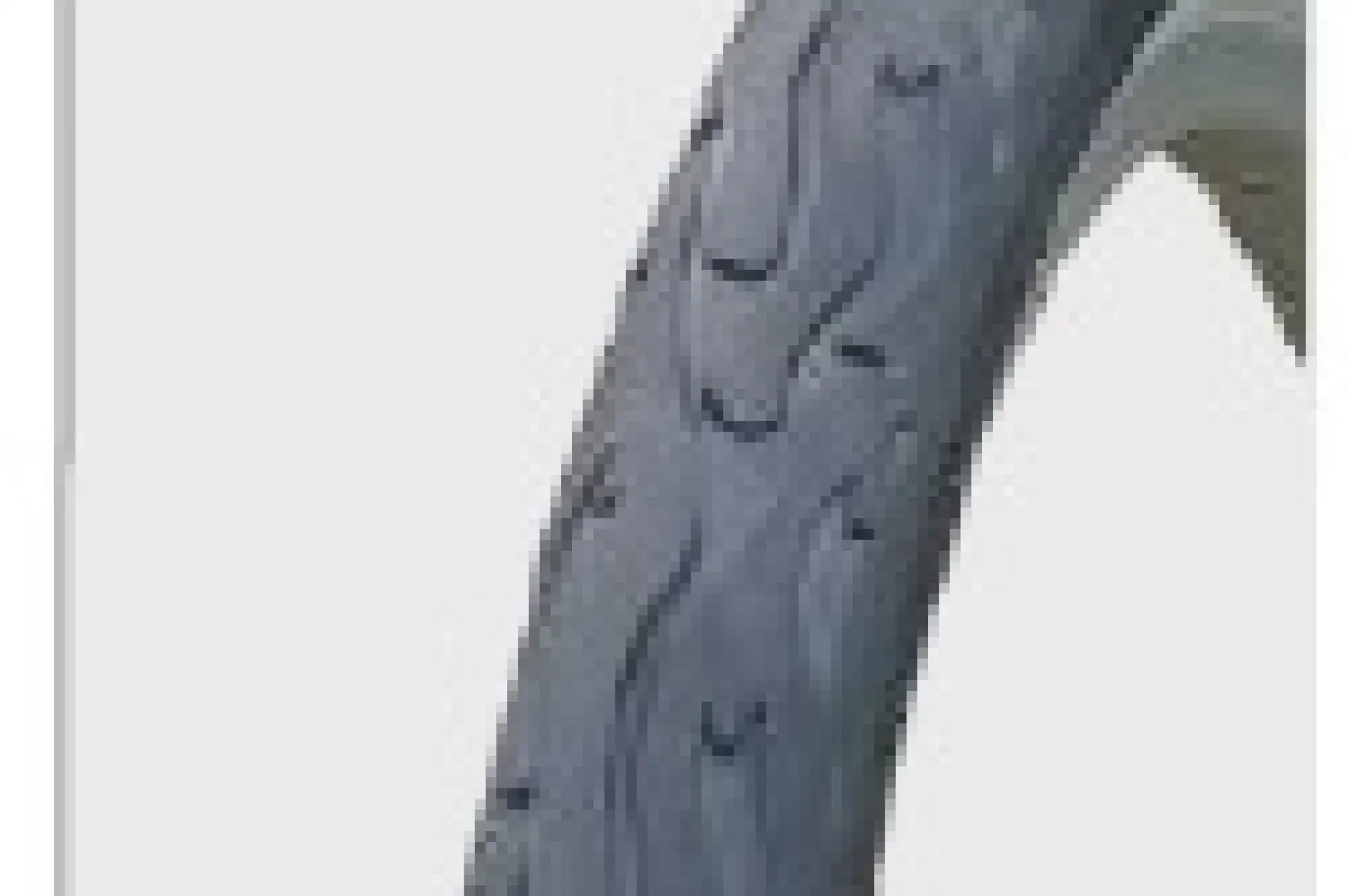 Велосипедная шина 26 * 2,125 H-584 пламя Chao Yang - Top Brand LTK-25