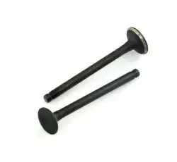 Клапаны (пара, голые)   4T GY6 80   (L-69,4mm)   ZUNA