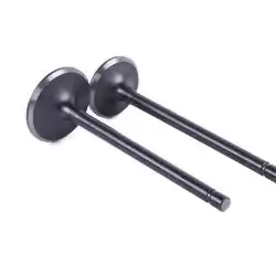 Клапаны (пара, голые) 4T CG200 (L-91mm) KOMATCU (mod.A)