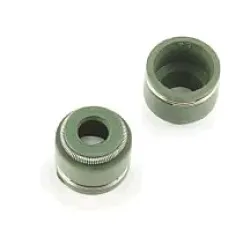 Сальники клапанов (пара)   4T CG200   PREMIUM GASKETS
