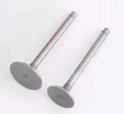 Клапаны   (пара, голые)  м/б  178F  (6Hp)   BEST