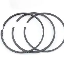 Кольца поршневые м/б 170F (7Hp) 0,25 (Ø70,25) ZS