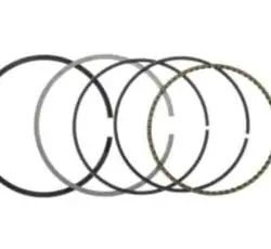 Кольца   4T GY6 60   1,00   (Ø45,00)   SUNY   (mod.A)