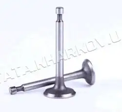 Клапаны (пара, голые) м/б 156F (4Hp) AMG