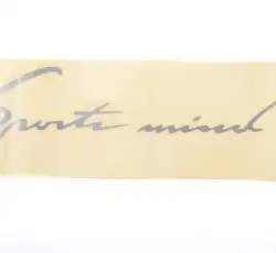 Наклейка логотип SPORTS WIND (29x10см) (#HQ412)