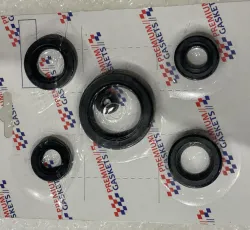 Сальники (набор) 4T CG200 (полный)