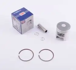 Поршень   2T TB 60, Suzuki RUN   1,00   (Ø44,00 p-10)   TNT