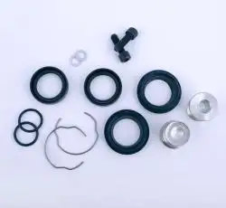 Ремкомплект вилки Zongshen LEGEND (30*43*10,3) AMG